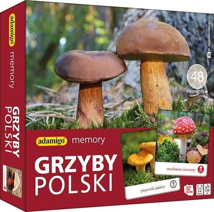 Adamigo Memory Grzyby Polski