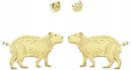 Kolczyki Złote z Kapibarą Sztyfty Prezent Biżuteria Srebro 925 ŻYCZENIA