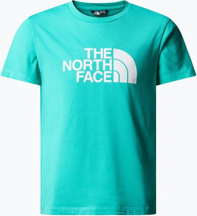 Koszulka dziecięca The North Face Easy geyser aqua | WYSYŁKA W 24H | 30 DNI NA ZWROT