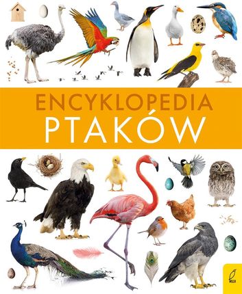 Encyklopedia ptaków - Paweł Zalewski
