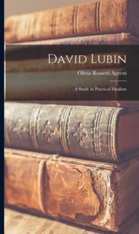 David Lubin: A Study in Practical Idealism - Literatura obcojęzyczna ...