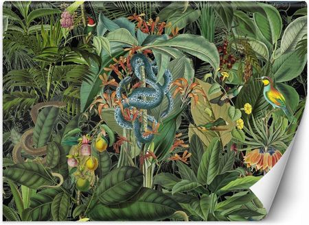 Feeby Fototapeta 3D Tropikalna Dżungla Zielony 200X140