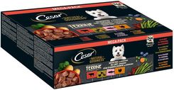 Cesar Karma Mokra Dla Psa Mix Smaków Terrine Drób Indyk Wołowina Łosoś 24x100g