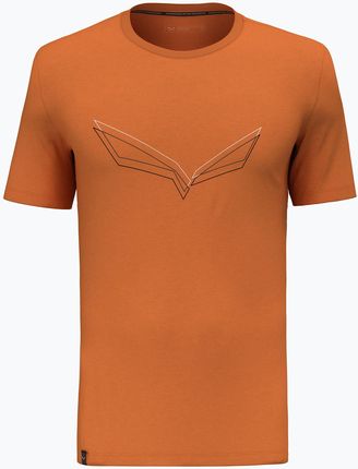 Koszulka męska Salewa Pure Eagle Frame Dry burnt orange | WYSYŁKA W 24H | 30 DNI NA ZWROT
