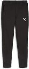 Zdjęcie Spodnie dresowe męskie Puma EVOSTRIPE DK czarne 67899701 - Rybnik