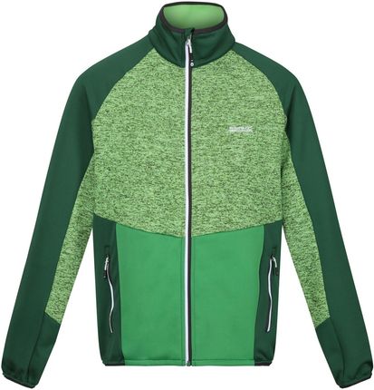Męska bluza Regatta Coladane V Wielkość: XL / Kolor: zielony