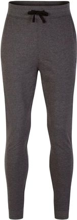 Męskie spodnie dresowe Dare 2b Recharging Jogger Wielkość: S / Kolor: zarys