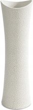 Zdjęcie Eurofirany Wazon Dekoracyjny Riso 11X7X40Cm Kremowy - Ozorków