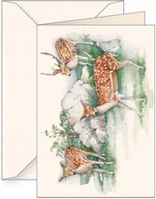 Zdjęcie Tassotti Karnet B6 Koperta 6106 Jelonki - Ścinawa