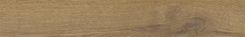 Stargres Pinea Honey 9,2x60