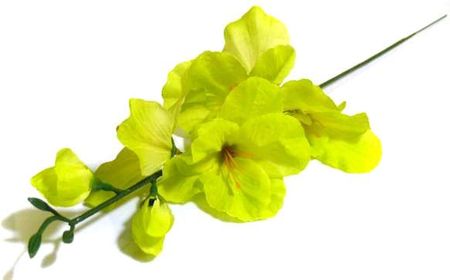 MIECZYK gałązka wys.48 cm Green sztuczne kwiaty jak żywe