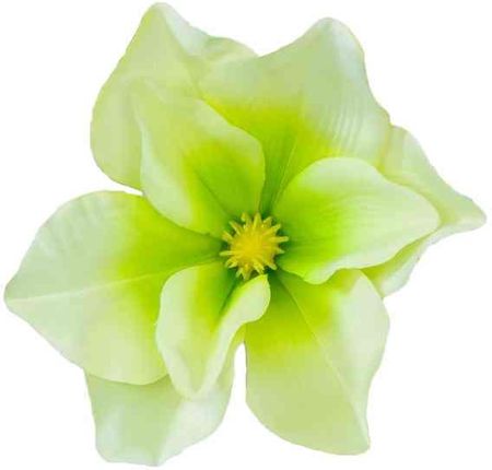 Magnolia główka satyna Green sztuczne kwiaty
