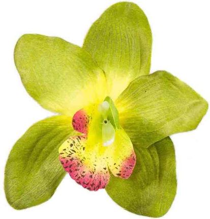 Storczyk Cymbidium - główka Dk.Green sztuczne kwiaty - główka w pąku