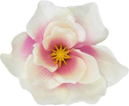 Magnolia główka kwiatowa Cream / Pink sztuczne kwiaty