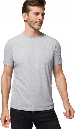 Koszulka T-shirt Szara Nadruk 3D Próchnik PM4 M