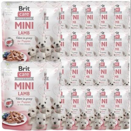 Brit Care Mini Pouch Puppy Lamb 24x85g