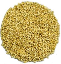 Zdjęcie Komosa ryżowa biała (Quinoa) 1 kg - Myszyniec