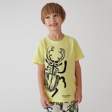 Zdjęcie Cool Club, T-shirt chłopięcy, żółty - Siedlce