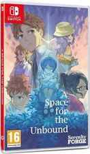A Space For The Unbound (Gra NS)