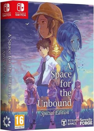 A Space For The Unbound Special Edition (Gra NS)