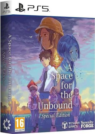 A Space For The Unbound Special Edition (Gra PS5)