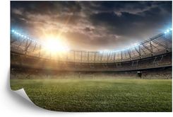Fototapeta Boisko Stadion Piłka Nożna