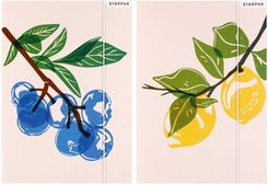 Zdjęcie Teczka Z Gumką A4 Fruits - Kwidzyn