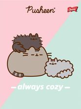 St-Majewski Zeszyt A5 32 K. Linia Pusheen Mix Wzorów Paczka 15Szt.