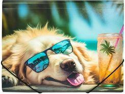 Zdjęcie Teczka A4 Pp Z Nadrukiem Chillout Dog - Koszyce