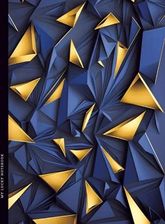 Zdjęcie Notatnik 145X197/64K Kratka Trójkąty Fresh - Luboń