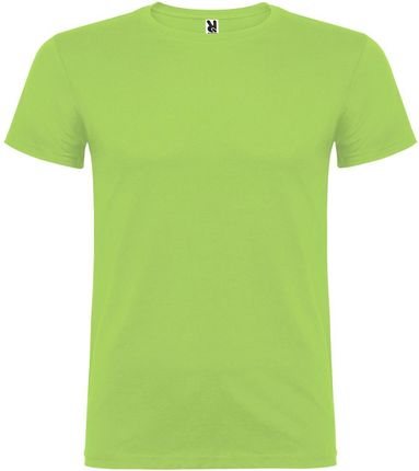 Beagle koszulka dziecięca z krótkim rękawem