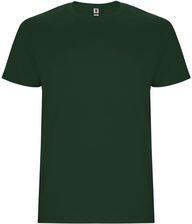 Zdjęcie Stafford koszulka dziecięca z krótkim rękawem - Skarszewy