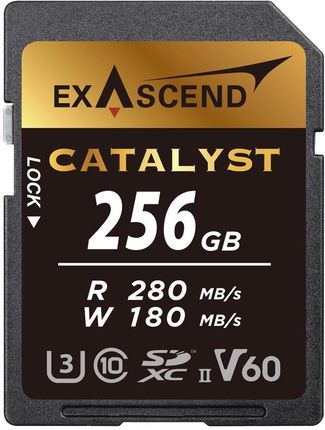 Karta pamięci ExAscend Catalyst SD UHS-II V60 - 256GB