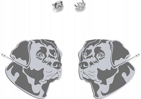 Mejk Jewellery Kolczyki Srebrne Labrador Retriever 925