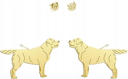 Mejk Jewellery Kolczyki Złote Z Labrador Retriever 925