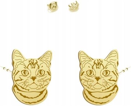 Mejk Jewellery Kolczyki Złote Kot Amerykański Krótkowłosy 925