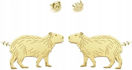 Mejk Jewellery Kolczyki Złote Kapibara 925