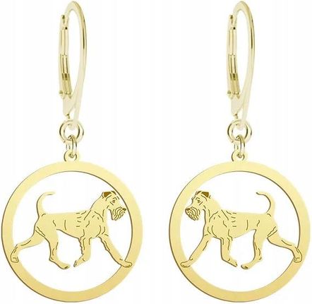 Mejk Jewellery Złote Kolczyki Irish Terrier 925