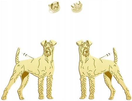 Mejk Jewellery Złote Kolczyki Irish Terrier Sztyft 925