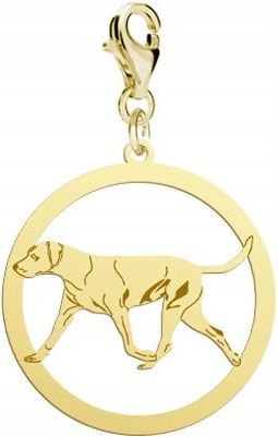 Mejk Jewellery Charms Złoty Louisiana Catahoula 925