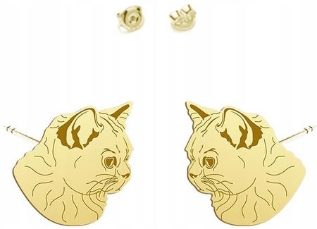 Mejk Jewellery Kolczyki Złote Kot Brytyjski Krótkowłosy 925
