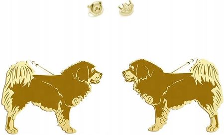 Mejk Jewellery Tibetan Mastiff Złote Kolczyki 925 Sztyfty