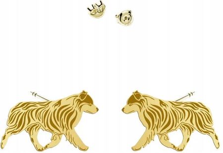 Mejk Jewellery Miniaturowy Owczarek Amerykański Złote Kolczyki 925