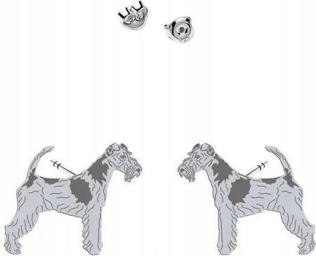 Mejk Jewellery Fox Terrier Wire Kolczyki Wkrętki Srebro925