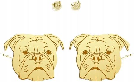 Mejk Jewellery Kolczyki Wkrętki Pozłacane Bulldog Kontynentalny