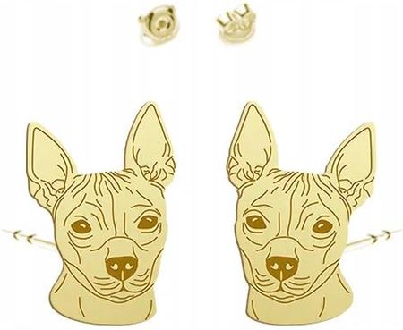 Mejk Jewellery Pozłacane Kolczyki Amerykański Terrier Bezwłosy