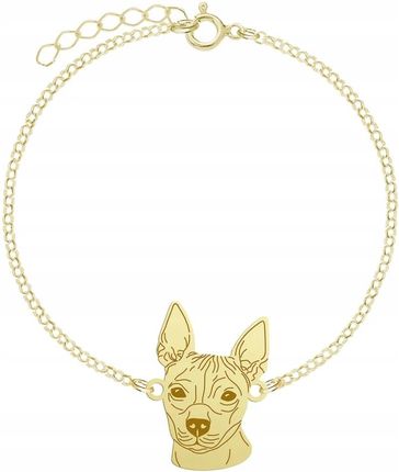 Mejk Jewellery Pozłacana Bransoletka Amerykański Terrier Bezwłosy