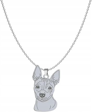 Mejk Jewellery Srebrny Naszyjnik Z Psem American Hairless Terrier