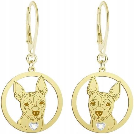 Mejk Jewellery Pozłacane Kolczyki American Hairless Terrier