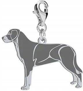 Mejk Jewellery Charms Z Psem Duży Szwajcarski Pies Pasterski Srebro925